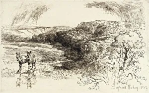 Seymour Haden Prints: Encombe Woods, No. II, 1882. Creator: Francis Seymour Haden