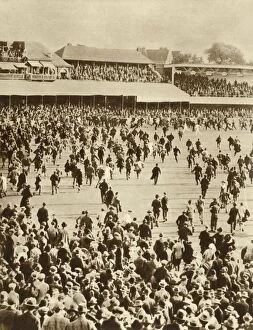 Winner Collection: England wins The Ashes against Australia, Oval Cricket Ground, London, 1926, (1935)