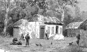 East African Prints: The English Expedition to Witu