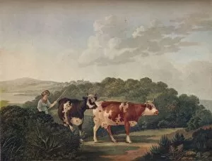 Cecil Reginald Gallery: English Landscape, with Shorthorned Cattle, late 18th-early 19th century, (1930)