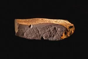 Middle Stone Age Gallery: Engraved Ocher Plaque from Blombos Cave, South Africa. The oldest artifact of mankind, 70th millenni