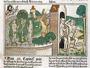 Catholic Christian Gallery: Engraving showing Adam and Eve in paradise, scene in the Bible of Nuremberg, German edition 1483