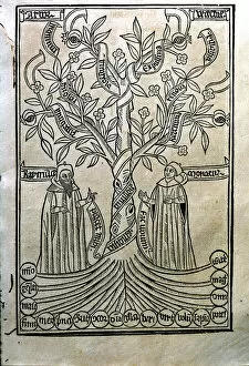Catalan Literature Gallery: Engraving of a tree in the work Arbor Scientiae (Science Tree) copy printed in