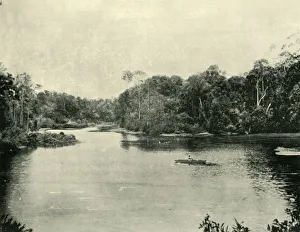 Australia Oceania Gallery: The Ennoggera Reservoir, 1901. Creator: Unknown