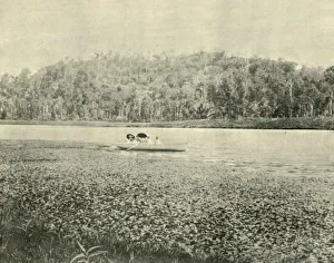 Australia Oceania Gallery: On the Enoggera Lake, 1901. Creator: Unknown