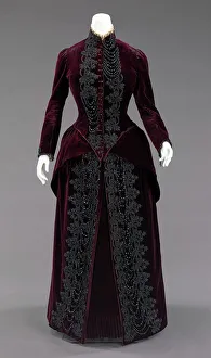 Feather Collection: Ensemble, American, ca. 1885. Creator: Mme. Uoll Gross