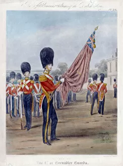 Rudolph Ackermann Collection: Ensign of the Grenadier Guards, 1844