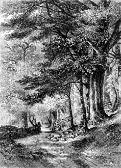 Entrance to the Fore Walk, Wotton, Surrey - painted by G. Barnard - from the Exhibition of the Nat Creator: Unknown. Entrance to the Fore Walk, Wotton, Surrey - painted by G. Barnard - from the Exhibition of the Nat Creator: Unknown