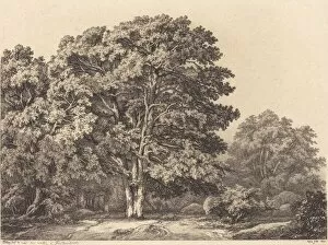 Ne Stanislas Alexandre Gallery: Entrance to a Forest, 1840. Creator: Eugene Blery