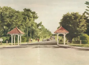 Perth Prints: Entrance to Kings Park, c1947. Creator: Unknown