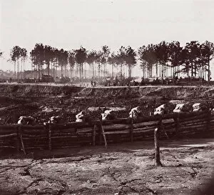 Capt Gallery: Entrenchments on left of Bermuda Hundred Lines, 1861-65. Creator: Andrew Joseph Russell