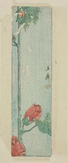 Envelope Gallery: Envelope with hibiscus, n.d. Creator: Ando Hiroshige