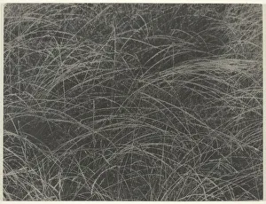 Equivalent, 1927. Creator: Alfred Stieglitz