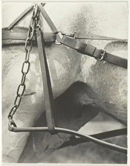 Strap Prints: Equivalent, Spiritual America, 1923. Creator: Alfred Stieglitz