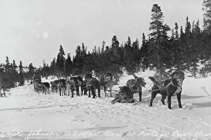 Dog Sled Prints: Erick Johnson with U.S. mail team, between c1900 and 1927. Creator: Unknown
