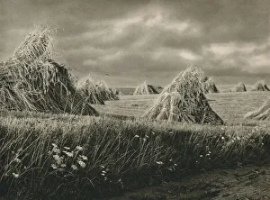 Ernte in Mausren - Harvest in Masouria, 1931. Artist: Kurt Hielscher Ernte in Mausren - Harvest in Masouria, 1931. Artist: Kurt Hielscher