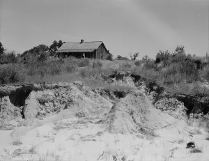 Deserted Prints: Eroded cotton farm near Jackson, Mississippi, 1937. Creator: Dorothea Lange