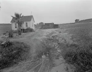 Eroded Prints: Eroded field, San Luis Obispo County, California, 1936. Creator: Dorothea Lange
