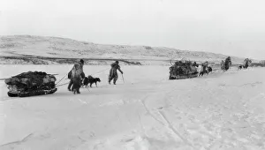 Dog Sled Prints: Eskimos on their way to the sea, between c1900 and 1929. Creator: Unknown