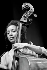 Jazz Festival Prints: Esperanza Spalding, 2013. Artist: Alan John Ainsworth