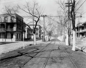 Louisiana United States Of America Prints: Esplanade Street, New Orleans, c1900. Creator: Unknown