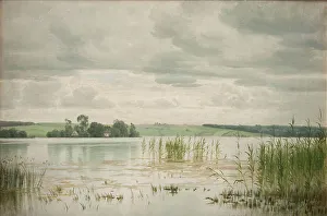 Reeds Prints: Esrom so, 1879. Creator: Georg Vilhelm Arnold Groth