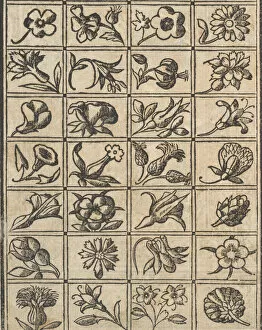 Textile Industry Gallery: Essempio di recammi, page 10 (verso), 1530. Creator: Giovanni Antonio Tagliente