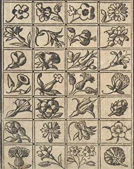 Dressmaking Prints: Essempio di recammi, page 10 (verso), 1530. Creator: Giovanni Antonio Tagliente
