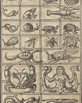 Scorpion Prints: Essempio di recammi, page 11 (recto), 1530. Creator: Giovanni Antonio Tagliente
