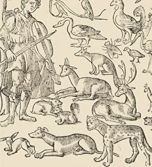 Textile Industry Gallery: Essempio di recammi, page 12 (verso), 1530. Creator: Giovanni Antonio Tagliente