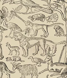 Textile Industry Gallery: Essempio di recammi, page 13 (recto), 1530. Creator: Giovanni Antonio Tagliente