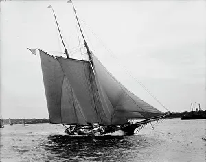 Estelle, between 1890 and 1900. Creator: Johns Johnston