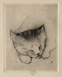 Paul Gachet Prints: Six Etchings: Head of a Kitten, 1895. Creator: Paul Gachet (French, 1828-1909)