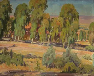 Eucalyptus Prints: Eucalyptus Trees in Upper Galilee, 1926. Creator: Abraham Neuman