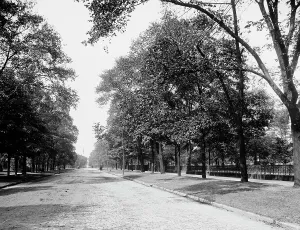 Ohio Prints: Euclid Avenue, Cleveland, Ohio, c1900. Creator: Unknown