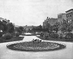 Flower Beds Prints: Eutaw Place (looking north), Baltimore, Maryland, USA, c1900. Creator: Unknown