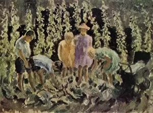 Evacuees growing cabbages, 1940, (1943). Creator: Leila Faithfull