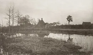 Marsh Prints: Evening, 1886. Creator: Peter Henry Emerson