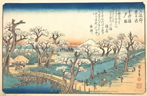 Cherry Trees Collection: Evening Glow at Koganei Border, 19th century. Creator: Ando Hiroshige