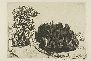 Copse Prints: Evening in the Park, 1903. Creator: Edvard Munch