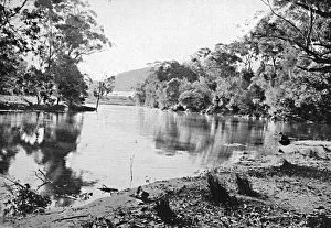 Sydney Swain Prints: Evening Shadows, National Park, c1900. Creator: Unknown