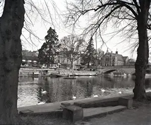 Swan Prints: Evesham, Worcestershire, c1955. Creator: Arthur Charles Kirby Ware