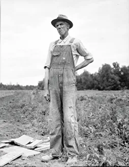One of the evicted sharecroppers from Arkansas now settled at Hill House, Mississippi, 1936. Creator: Dorothea Lange