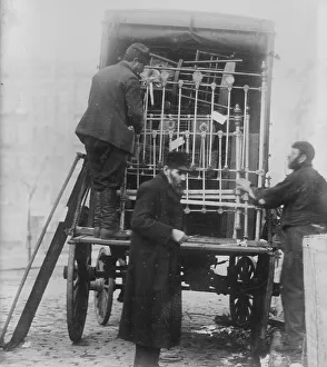 Seizure Prints: Eviction, N.Y. between c1915 and c1920. Creator: Bain News Service