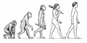 Charles Darwin Collection: Evolution of ManArtist: Karen Humpage