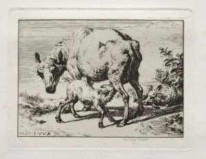 Charles Meryon French Prints: The Ewe with Two Lambs, 1850. Creator: Charles Meryon (French, 1821-1868)