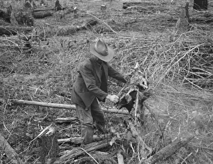 Ex-Nebraska farmer and the piece of land which he hopes... Bonner County, Idaho, 1939. Creator: Dorothea Lange