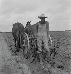 Cowboy Hat Prints: Ex-tenant farmer, now a day laborer on large cotton farm near Corsicana