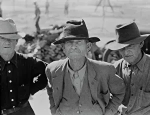 Sharecroppers Prints: Ex-tenant farmer on relief grant in the Imperial Valley