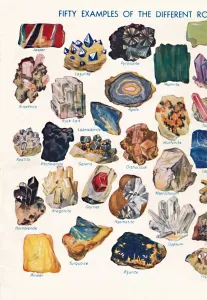Examples of the Different Rocks That Make Up The Earths Crust, 1935